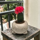 grey mouse table.jpeg