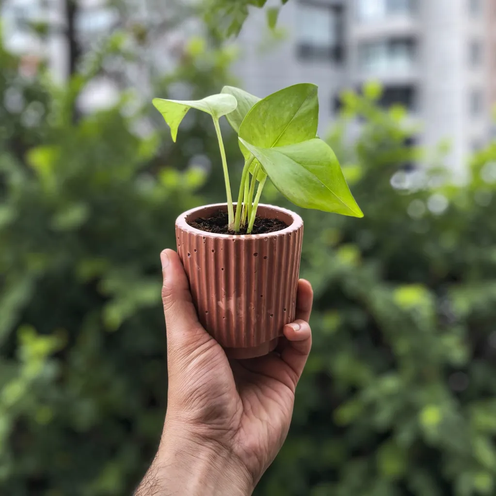 nordic red hand.webp