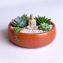 terr red eco bowl 1.jpeg