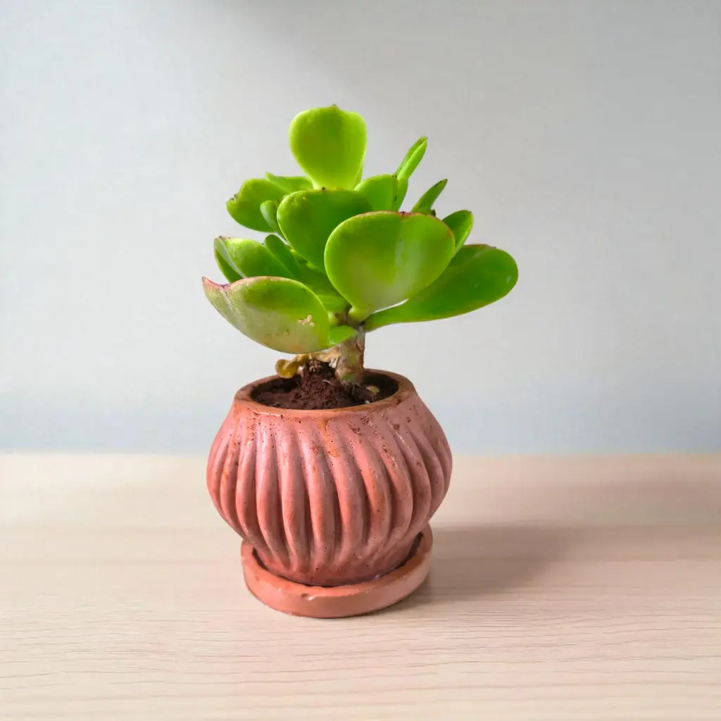 The Striped- 4.0"x4.0"x3.0" Round stripe planter I Red Terracotta I Zero cement concrete planters I With base plate