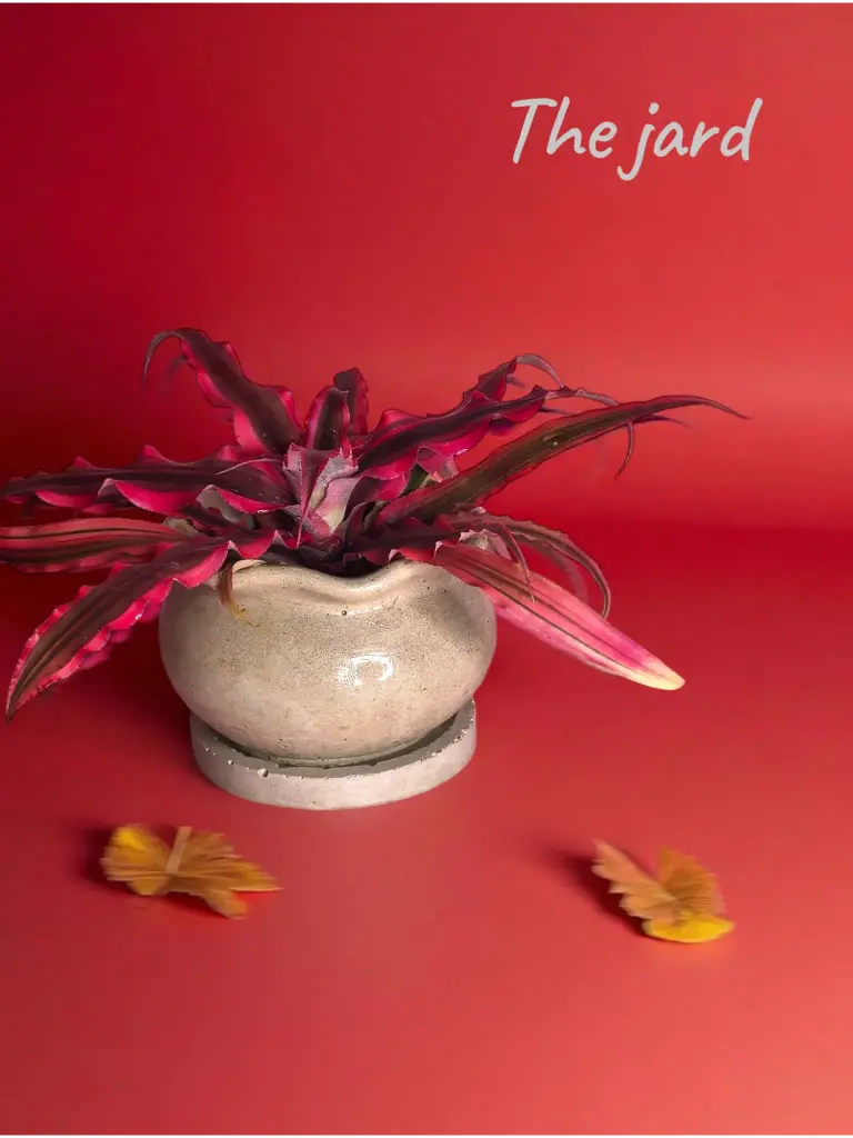 [REC-Jard-Grey] The Jard- 3.5"x2.75" I Handcrafted I Wavy design I Natural Grey I Succulent planter I Base plate included