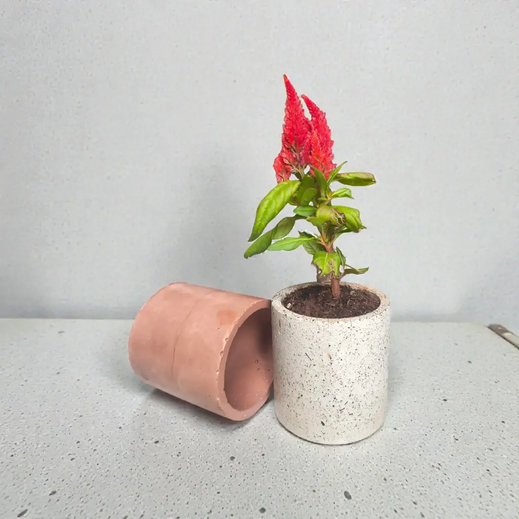 [REC-CYLO4-2PK] Cylo-4 | Cylindrical planter | 4"x4"| made from recycled concrete| handcrafted | Pack of 2 Terracotta and Grey terrazzo