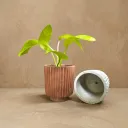 The Nordic grove| handcrafted | Linear function | Minimal | Eco inspiring | 4"x3.5" I Desk assent I Pack of 2 Grey and Terracotta
