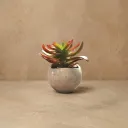 The Glore-2.75x3.5" I Handcrafted I Planter I Eco Freindly I Made from construction waste I Stone Grey