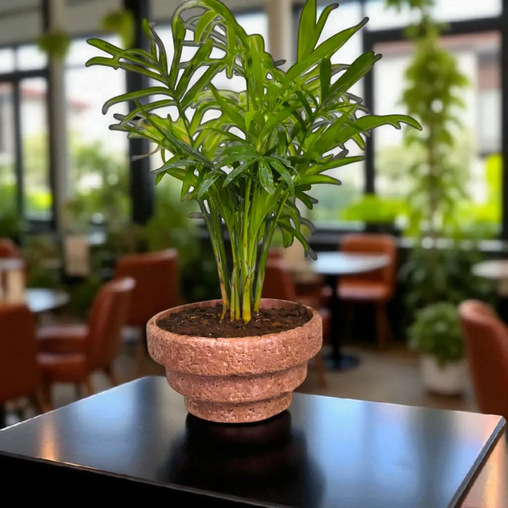 [REC-Tread-Tera] The Tread- 4.5"x4.5"x2.5" I Stepped Planter I Steeped design I Rough stoned texture I (Teracotta Red)