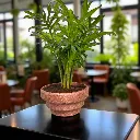 The Tread- 4.5"x4.5"x2.5" I Stepped Planter I Steeped design I Rough stoned texture I