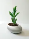 The Olute-  5.5"x4.0"x3.0" I Pebble planter I Natural Grey I Crafted minimalism I Environment freindly
