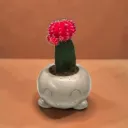 The Mousse- 4"x 4"x 3" Handcrafted I Up-cycled concrete I Face planter I Stone Grey I Cute planter