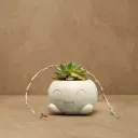 The Mousse- 4"x 4"x 3" Handcrafted I Up-cycled concrete I Face planter I Natural texture I Cute planter