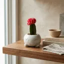 The Mousse- 4"x 4"x 3" Handcrafted I Up-cycled concrete I Face planter I Natural texture I Cute planter