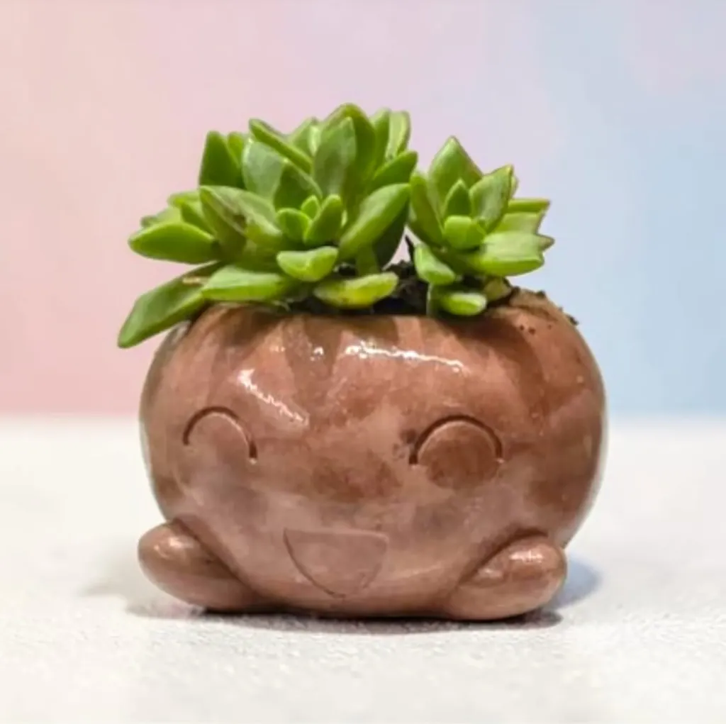 The Mousse- 4"x 4"x 3" Handcrafted I Up-cycled concrete I Face planter I Natural texture I Cute planter