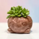 The Mousse- 4"x 4"x 3" Handcrafted I Up-cycled concrete I Face planter I Natural texture I Cute planter
