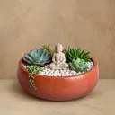 The Eco Bowl- Succulent Bowl | Bonsai bowl | 8"*2.3" | Terracotta red |  Home decor | Interior plants.