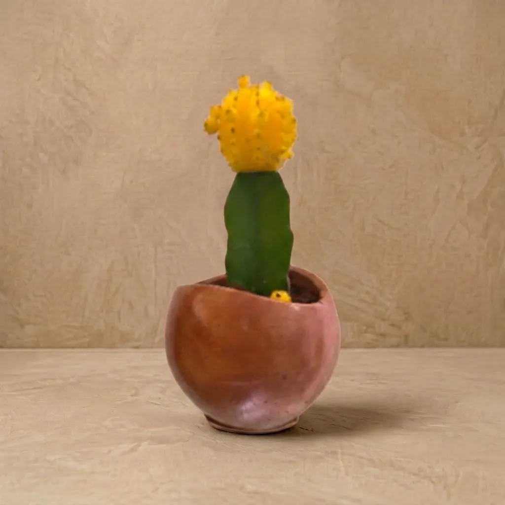The Glore-2.75x3.5" I Handcrafted I Planter I Eco Freindly I Made from construction waste I Teracotta red