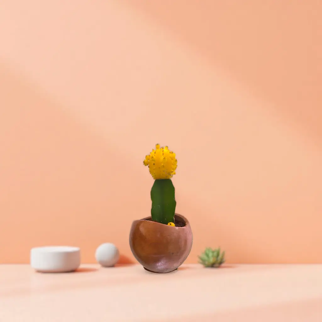 [REC-Glore-Tera] The Glore-2.75x3.5" I Handcrafted I Planter I Eco Freindly I Made from construction waste I Teracotta red