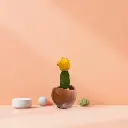 The Glore-2.75x3.5" I Handcrafted I Planter I Eco Freindly I Made from construction waste I Teracotta red