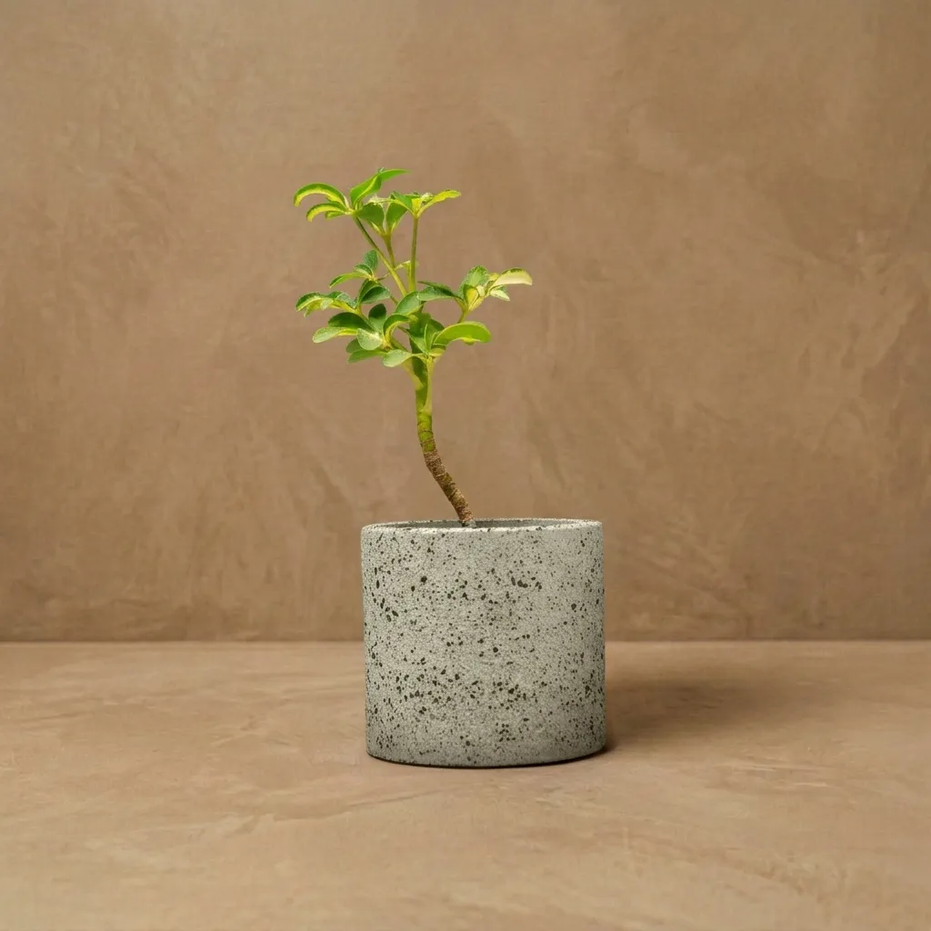 Cylo-4 | Cylindrical planter | 4"x4"| made from recycled concrete| handcrafted | Pack of 1 Terrazzo Stone Grey.