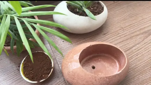 The Olute-  6.0"x4.0"x3.0" I Pebble planter I Terracotta red I Crafted minimalism I Environment friendly